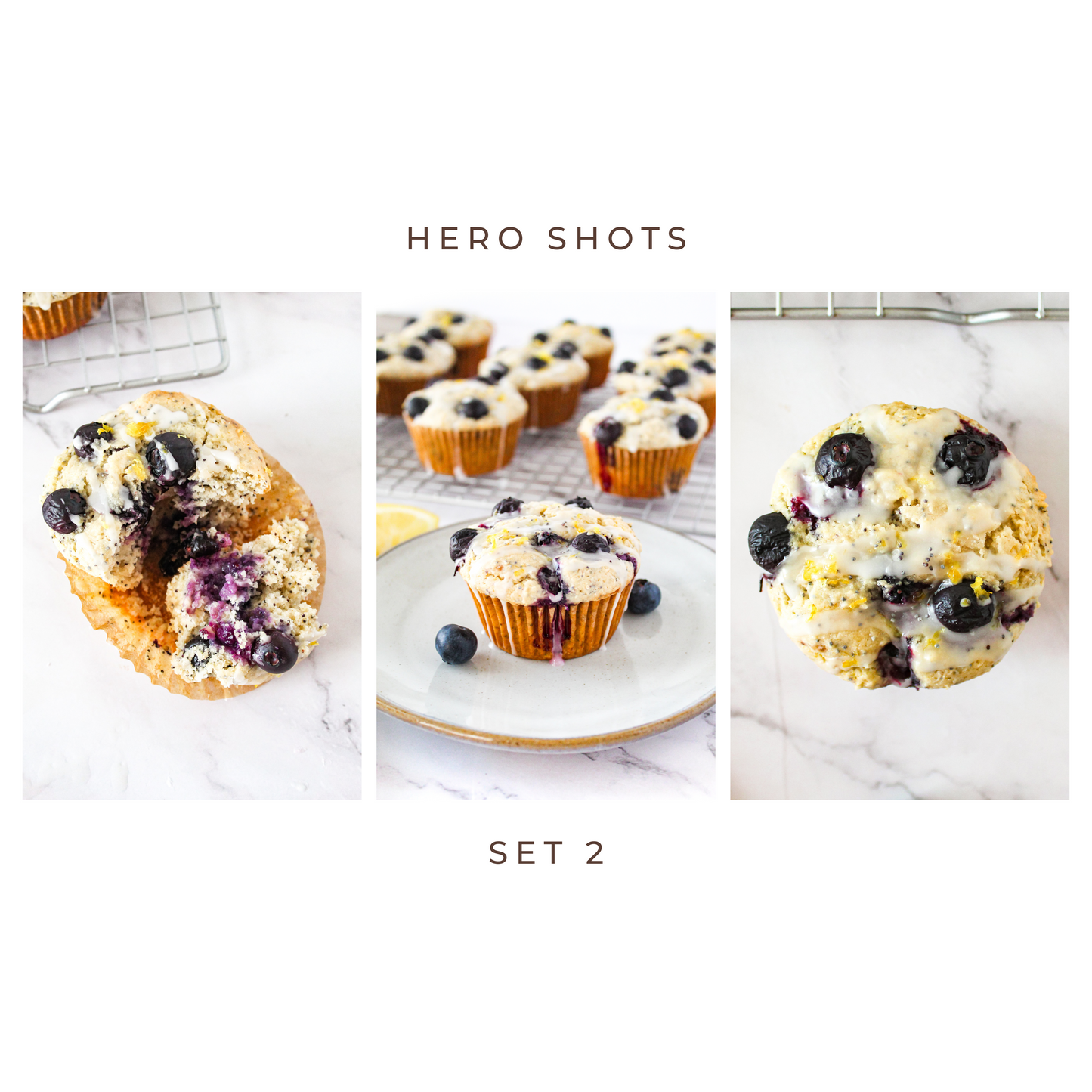 Blueberry Lemon Poppy Seed Muffins (GF) (set 2)